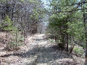 After you leave the power lines, it's a nice walk through the woods for another 15 minutes